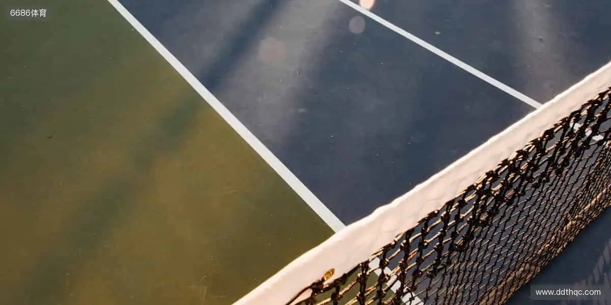 ⚽激情永不落幕，赛事官网带你感受纯粹的竞技魅力！